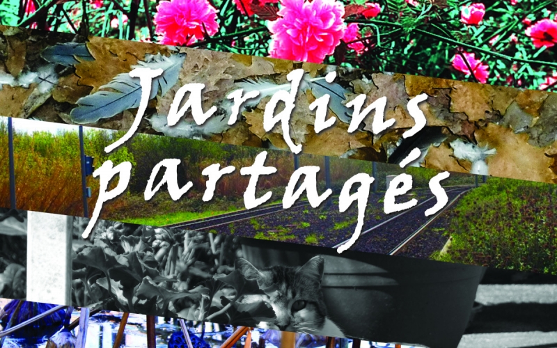 Jardins partagés : finissage de l'expo photo