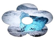 Application forme fleur sur un cadre d'image