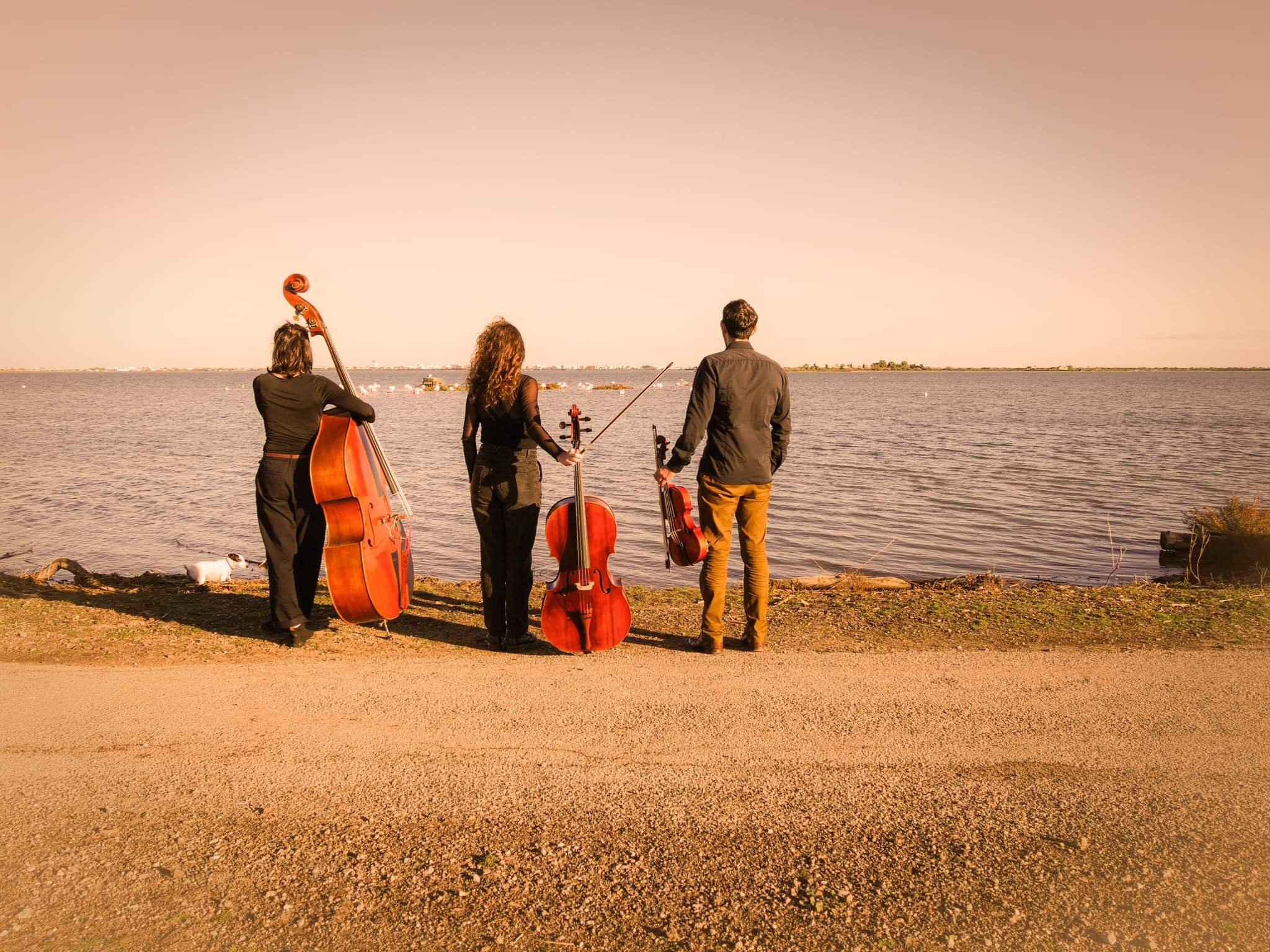 Concert Fiddle Jazz Combo